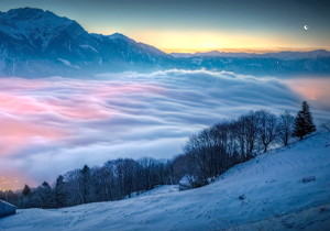 KOD文件管理器(支持php8.3)